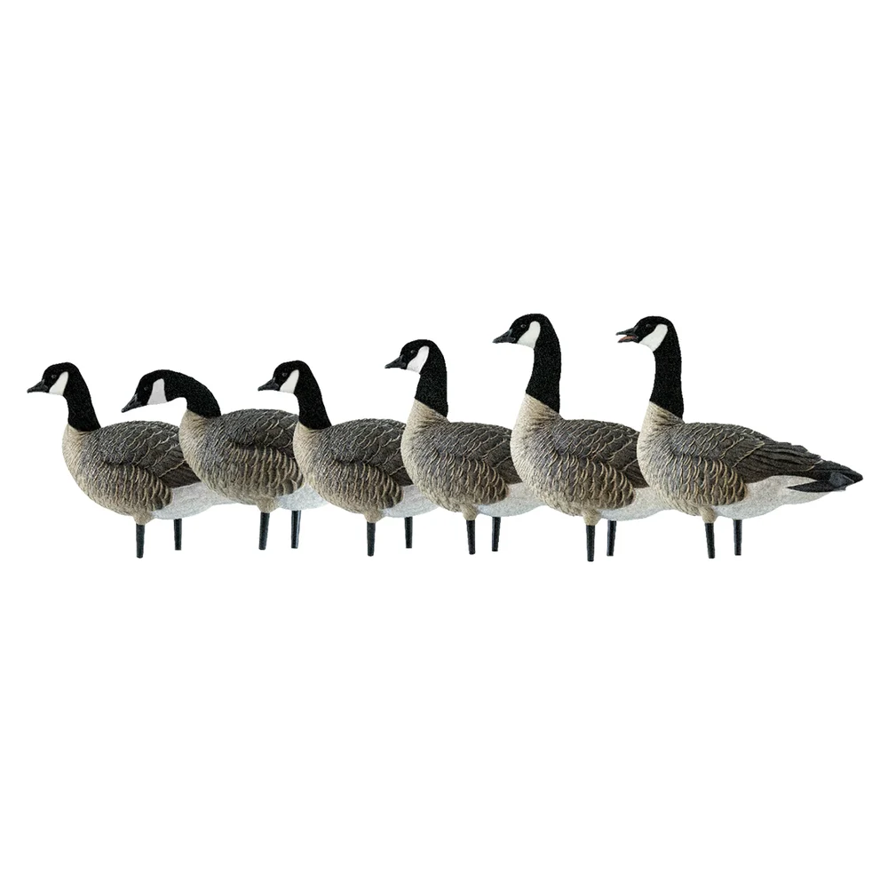 Avian-X AXP Active Lessers Goose Decoys (6 Pack) - Image 2