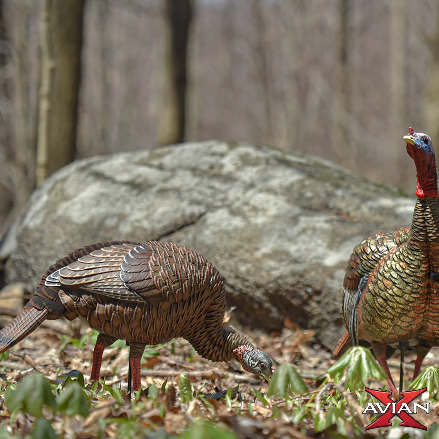 Avian-X HDR Feeding Hen Turkey Decoy - Image 10