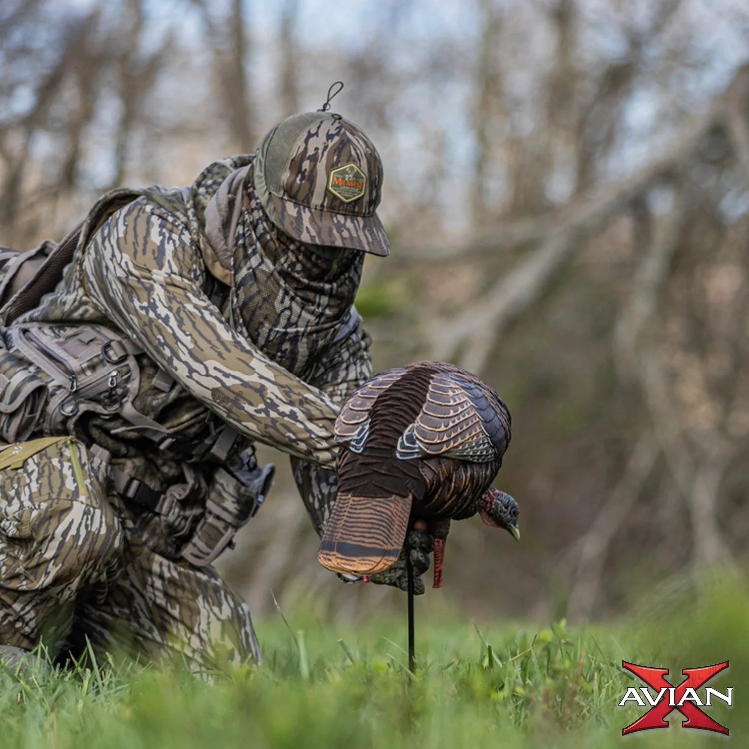 Avian-X HDR Feeding Hen Turkey Decoy - Image 8