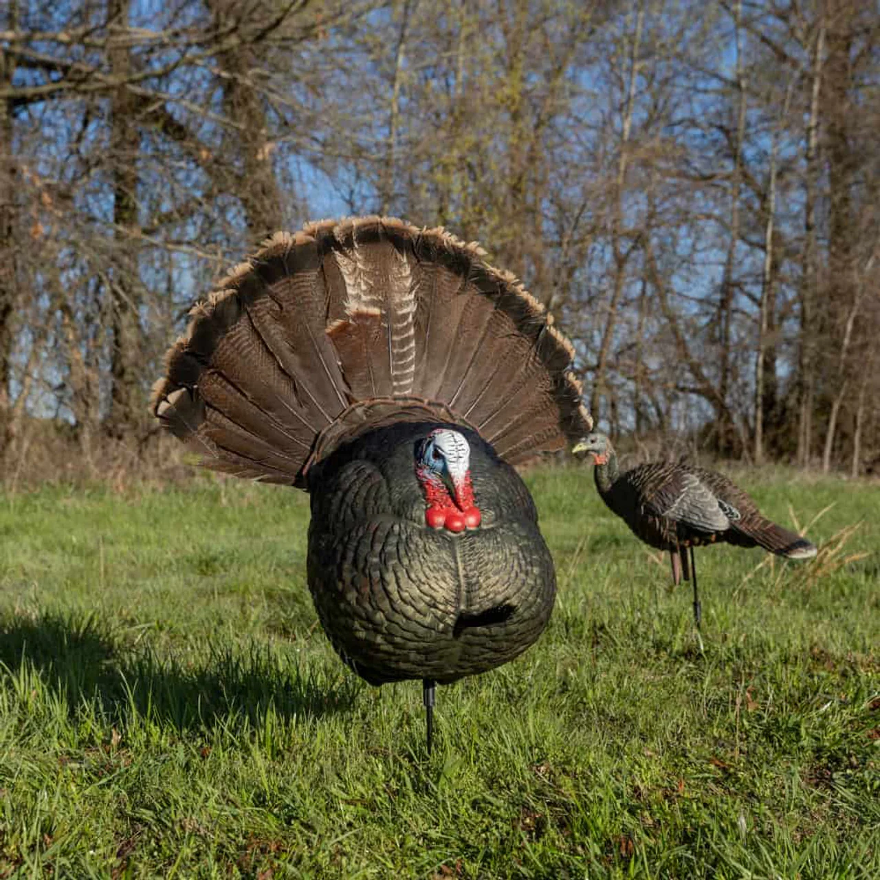 Avian-X LCD Strutter Turkey Decoy - Image 3