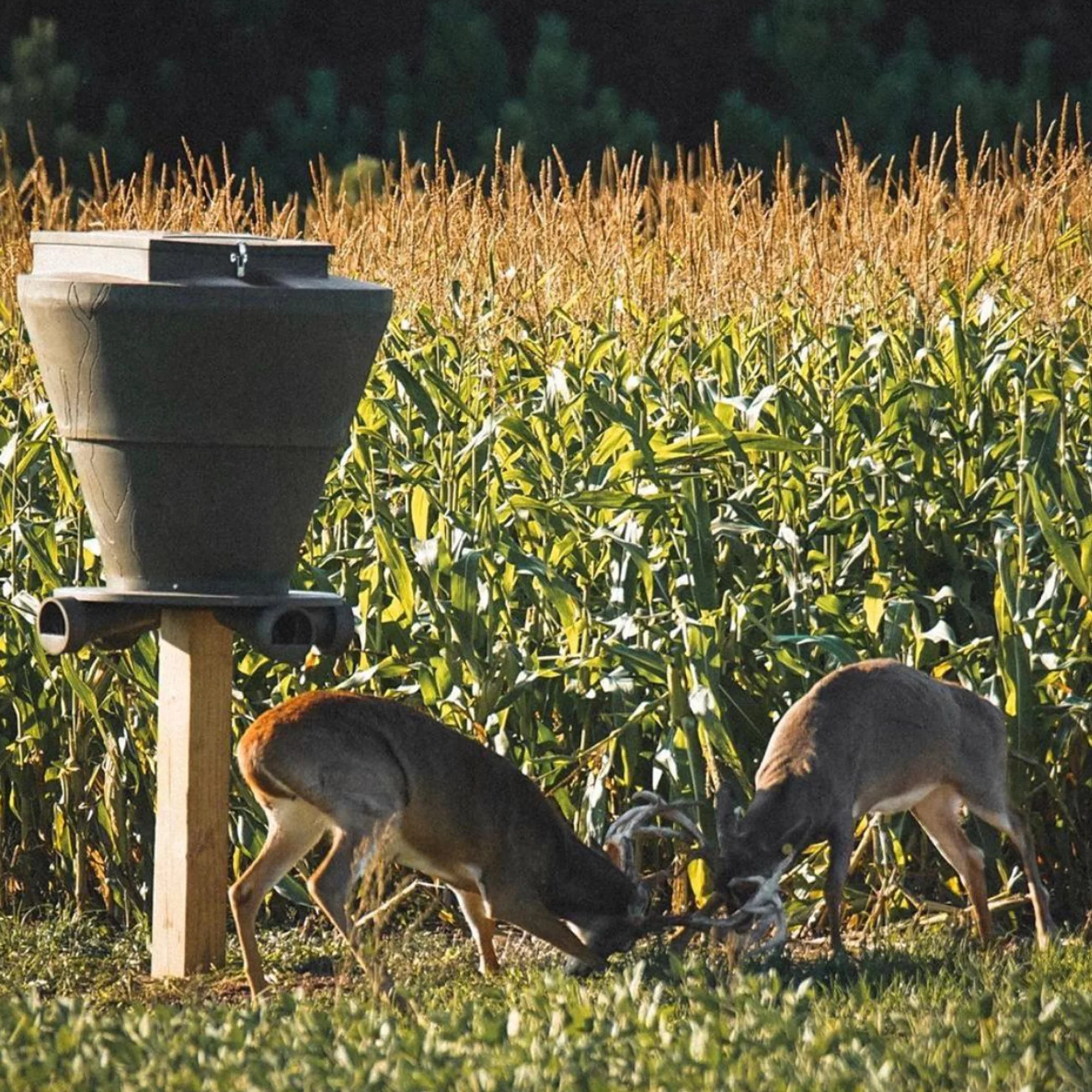 Banks Outdoors Feedbank 600 lb Gravity Deer Feeder - Image 9